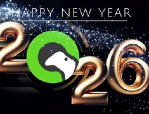 Happy new year 2026 gamerzzz  !